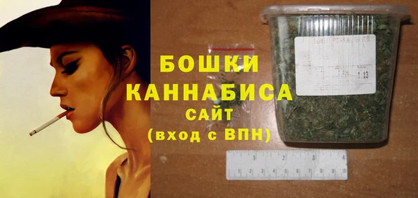 стаф Кодинск